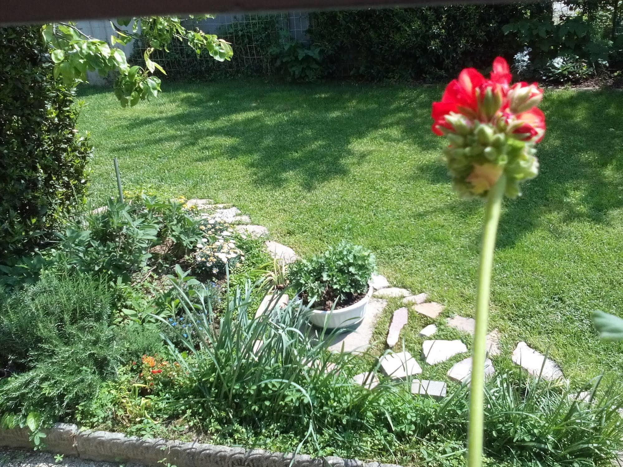 Bed and Breakfast Casa Emanuela à Piazzola sul Brenta Extérieur photo